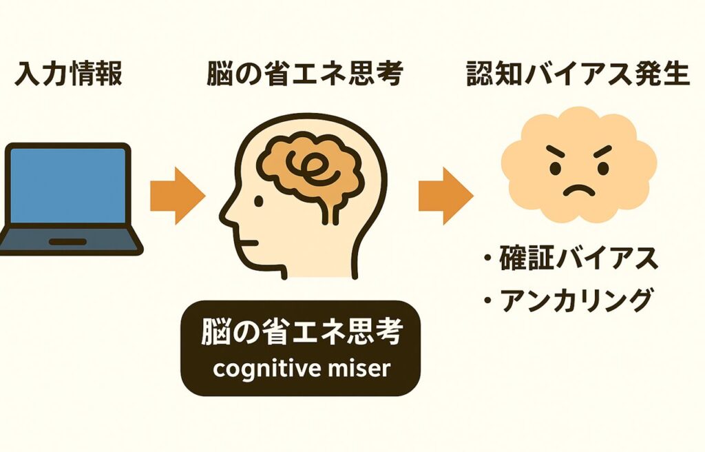 認知バイアスが生まれる仕組みを図解。情報入力から脳の省エネ思考(cognitive miser)を経て認知バイアス発生までを矢印で説明。確証バイアス・代表性バイアス・アンカリングなど代表的バイアスもイラストで紹介。ロジカルシンキング学習用の視覚教材。